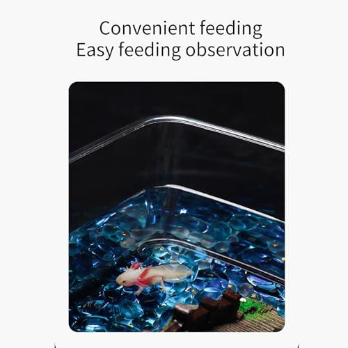 TINGLEY TROPICALS Clear Fish Tanks Axolotls Bowl For Desktops Clear Display Versatile Acrylic Tanks For Axolotls Newts