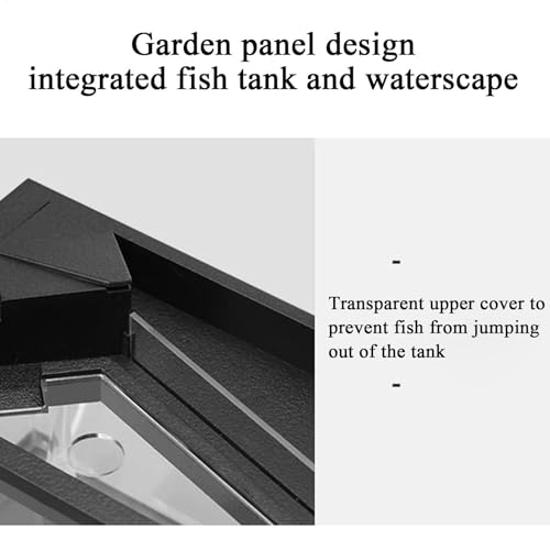TINGLEY TROPICALS Small Aquarium | Acrylic Clear Desk Aquarium with Filter | Fish Tank Starter Kits with Air Pump for Tabletop, Living Room, Studio, Home