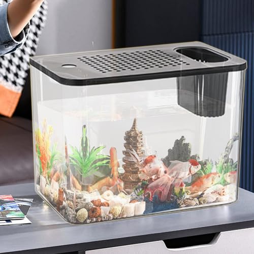 TINGLEY TROPICALS Aquarium, Beta Aquarium Tabletop Aquarium Beta Aquarium Tabletop Aquarium, Transparent Turtle Aquarium Bowl - Small Aquarium, Tabletop Aquarium Beta Aquarium Turtle Rearin