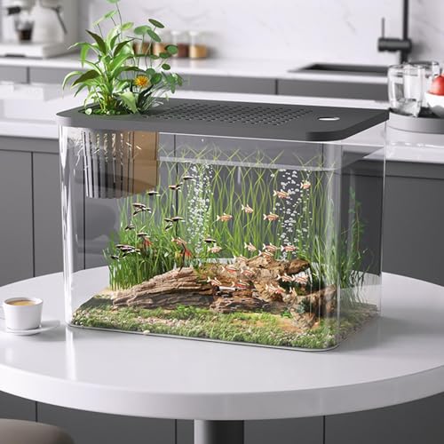 TINGLEY TROPICALS Aquarium, Beta Aquarium Tabletop Aquarium Beta Aquarium Tabletop Aquarium, Transparent Turtle Aquarium Bowl - Small Aquarium, Tabletop Aquarium Beta Aquarium Turtle Rearin