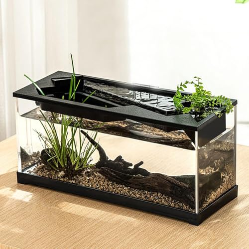 TINGLEY TROPICALS Small Fish Tank, Desktop Clear Aquarium Landscape Ecologicals Fish Tank Fish Bowl for Tabletop, Living Room, Studio, Home