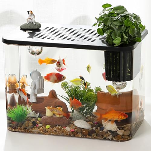 TINGLEY TROPICALS Aquarium, Beta Aquarium Tabletop Aquarium Beta Aquarium Tabletop Aquarium, Transparent Turtle Aquarium Bowl - Small Aquarium, Tabletop Aquarium Beta Aquarium Turtle Rearin