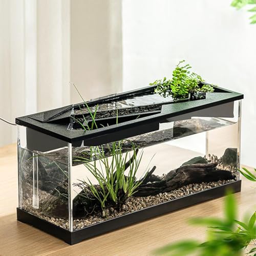 TINGLEY TROPICALS Small Aquarium | Acrylic Clear Desk Aquarium with Filter | Fish Tank Starter Kits with Air Pump for Tabletop, Living Room, Studio, Home