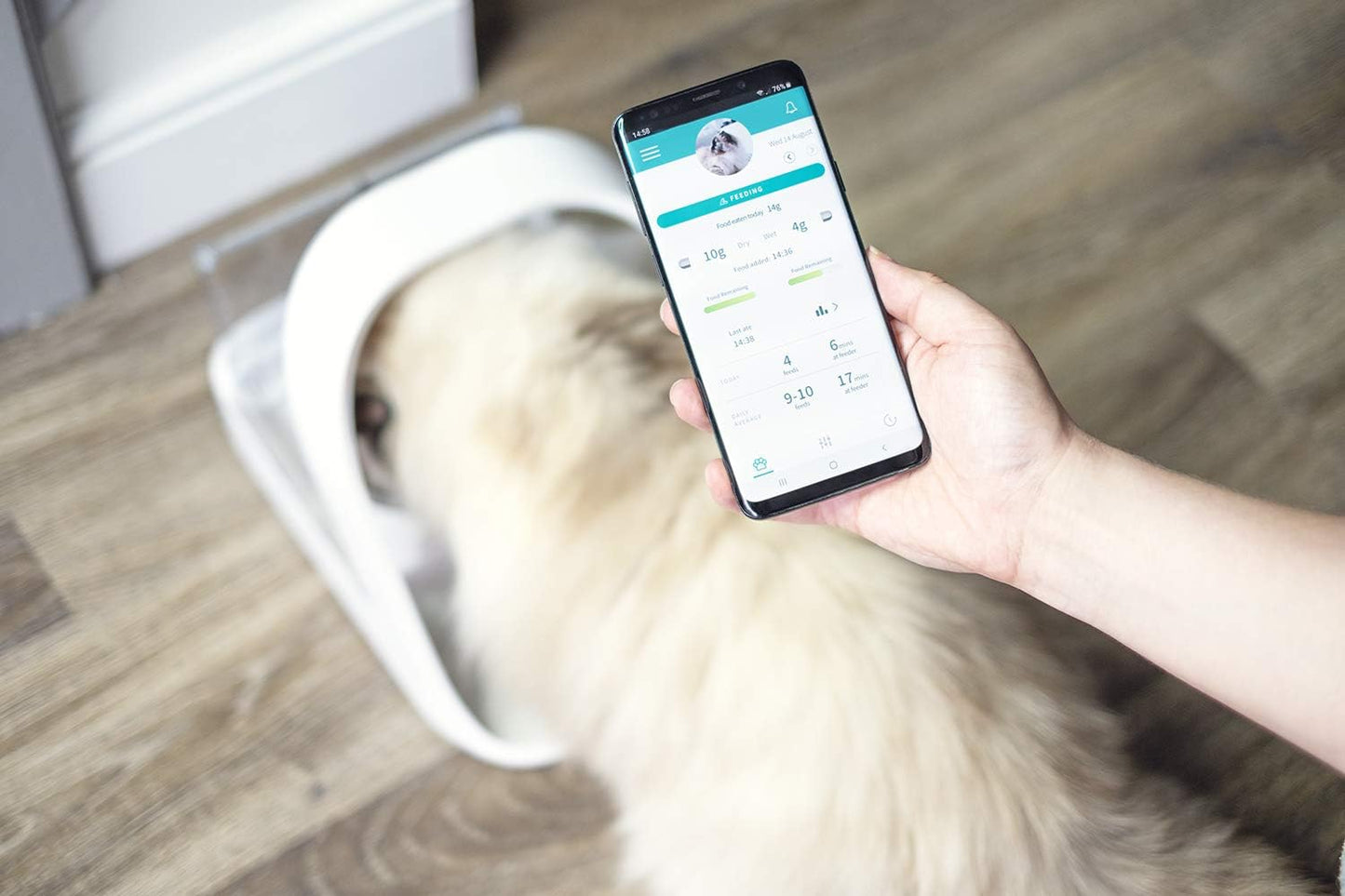 Sure Petcare SureFeed Microchip Pet Feeder Connect with Hub, RFID Collar Tags Compatible, Mobile App Control, for Wet and Dry Food, White, 4xC Cell Batteries Required, Not Included