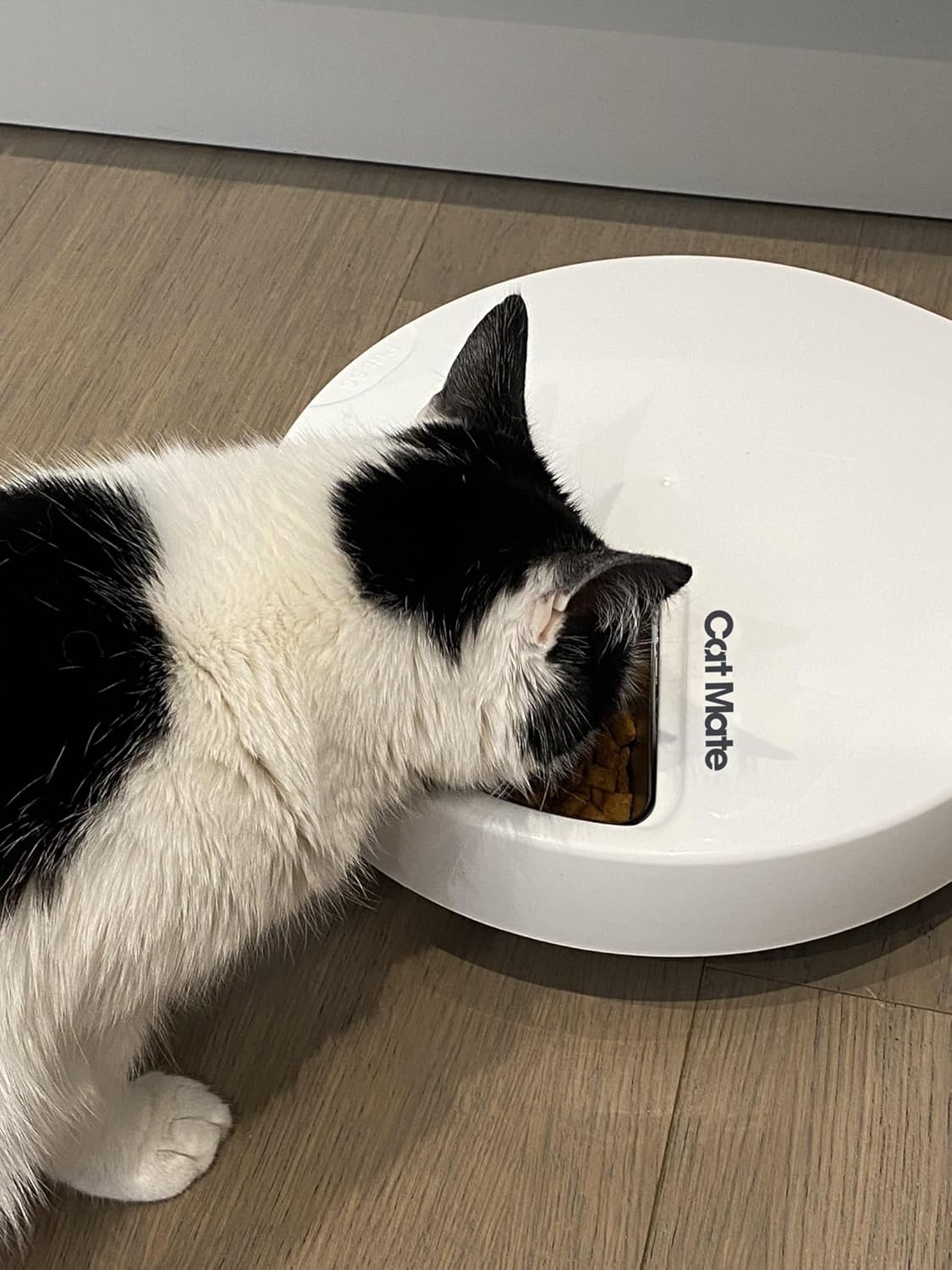 Cat Mate C500 Automatic 5 Bowl Pet Feeder with Digital Timer For Wet or Dry Pet Food, For Cats and Small Dogs, 5 Meals Up To 330g Each, with Twin Ice Packs for Food Freshness , White
