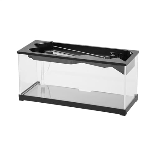 TINGLEY TROPICALS Small Fish Tank, Desktop Clear Aquarium Landscape Ecologicals Fish Tank Fish Bowl for Tabletop, Living Room, Studio, Home