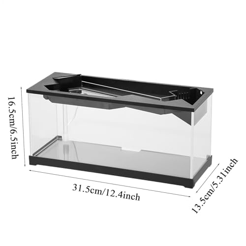 TINGLEY TROPICALS Small Fish Tank, Desktop Clear Aquarium Landscape Ecologicals Fish Tank Fish Bowl for Tabletop, Living Room, Studio, Home