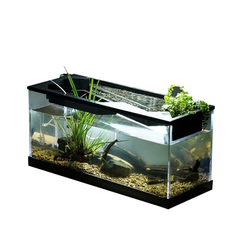 TINGLEY TROPICALS Small Aquarium | Acrylic Clear Desk Aquarium with Filter | Fish Tank Starter Kits with Air Pump for Tabletop, Living Room, Studio, Home