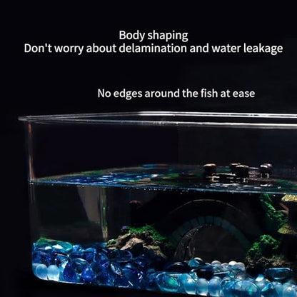 TINGLEY TROPICALS Clear Fish Tanks Axolotls Bowl For Desktops Clear Display Versatile Acrylic Tanks For Axolotls Newts