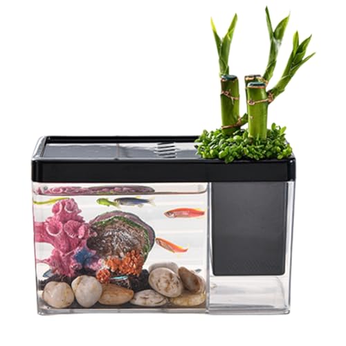 TINGLEY TROPICALS Aquarium | Transparent Aquarium
