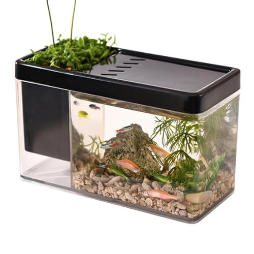 TINGLEY TROPICALS Aquarium | Transparent Aquarium