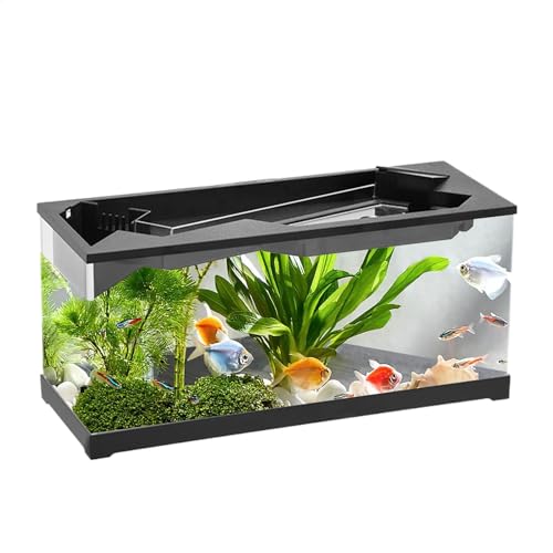 TINGLEY TROPICALS Small Fish Tank, Acrylic Clear Desk Aquarium, Compact Starter Kit with Filter, Built-In Air Pump System, 12.4x5.31x6.5inches Modern Tabletop Design for Home and Living Room Decor
