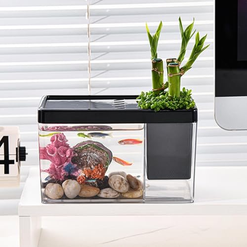 TINGLEY TROPICALS Aquarium | Transparent Aquarium