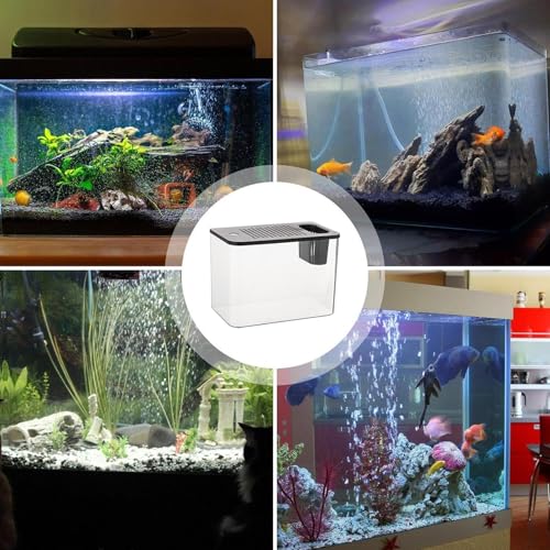 TINGLEY TROPICALS Aquarium, Beta Aquarium Tabletop Aquarium Beta Aquarium Tabletop Aquarium, Transparent Turtle Aquarium Bowl - Small Aquarium, Tabletop Aquarium Beta Aquarium Turtle Rearin