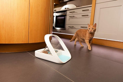 Sure Petcare SureFeed Microchip Pet Feeder with Sealed Lid, RFID Collar Tags Compatible, Works for Wet and Dry Food, White, 4 x C Cell Batteries Required, Not Included