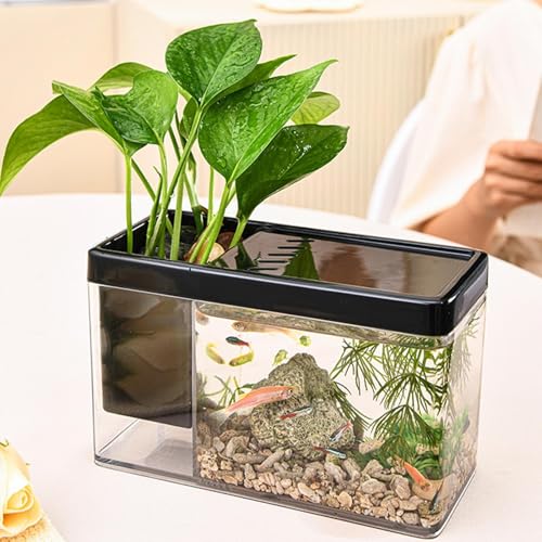 TINGLEY TROPICALS Aquarium | Transparent Aquarium