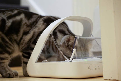 Sure Petcare SureFeed Microchip Pet Feeder with Sealed Lid, RFID Collar Tags Compatible, Works for Wet and Dry Food, White, 4 x C Cell Batteries Required, Not Included