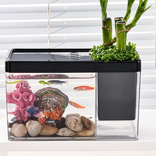 TINGLEY TROPICALS Aquarium | Transparent Aquarium