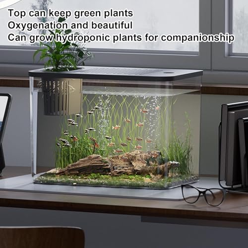 TINGLEY TROPICALS Aquarium, Beta Aquarium Tabletop Aquarium Beta Aquarium Tabletop Aquarium, Transparent Turtle Aquarium Bowl - Small Aquarium, Tabletop Aquarium Beta Aquarium Turtle Rearin